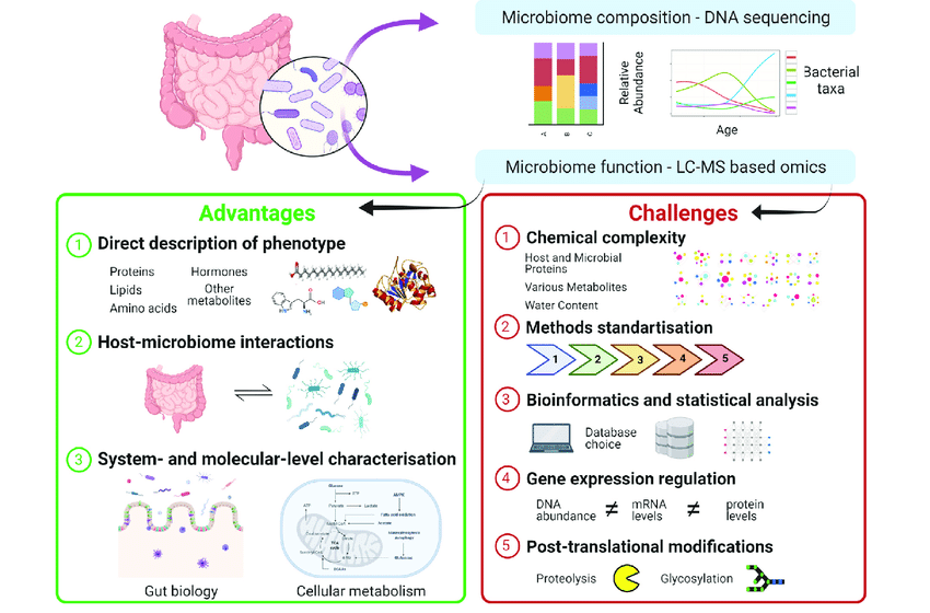 Advantages and challenges of liquid chromatography-mass spectrometry (LC-MS) omics. Metaproteomics and metabolomics complement other meta-omic approaches such as metagenomics that assess the diversity and functional potential of microorganisms but cannot observe their actual phenotypes. Further, metaproteomics and metabolomics can identify proteins and metabolites originating from either the host or microbiome and give indications of their interactions. However, a wide range of metabolites is common to the human host and gut microbes and thus not possible to discriminate by metabolomics. A significant advantage of LC-MS omics is their ability to characterise cellular metabolism at the molecular level for different microbial species and provide system-level information for the host. Besides these advantages, five challenges of LC-MS omics are listed. These include the chemical complexity of fecal samples, lack of standardisation, and especially bioinformatics and statistical challenges associated with large datasets. Moreover, even if different omics analyses are done on the same sample, complex gene expression regulation processes will hinder direct comparison between DNA abundance and the levels of transcripts and proteins, and consequently the omics data interpretation. Also, complex sample preparation protocols and incomplete databases on proteins cleavage sites and other post-translational modifications are hindering the use of metaproteomics in the discovery of novel regulatory mechanisms. In metaproteomics a formidable issue is the assignment of shared peptides to proteins that originate from different microbial species. Finally, both metabolomics and metaproteomics face the challenge of low abundant molecules detection in complex mixtures. For the sake of clarity, the last two points are not illustrated in the figure.