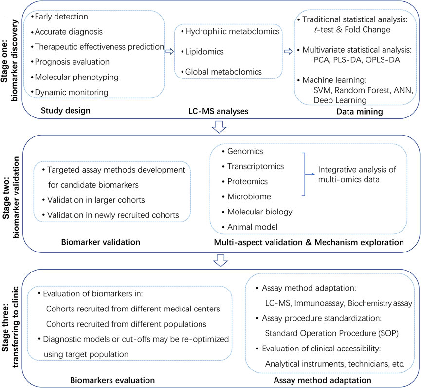 Flowchart of the typical steps of precision medicine-oriented metabolomic researches.