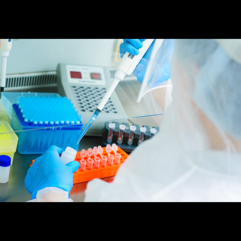 10x Roseate PCR Buffer with Mg2+